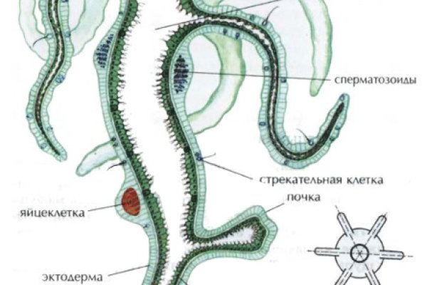 Кракен зайти зеркало