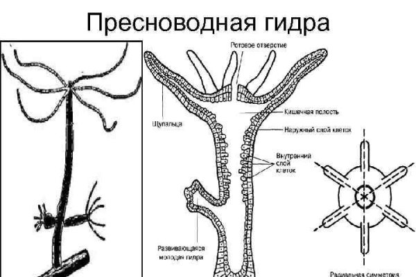 Официальная тор ссылка кракен сайта